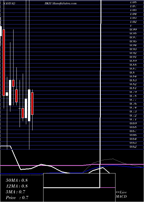  monthly chart BioKey