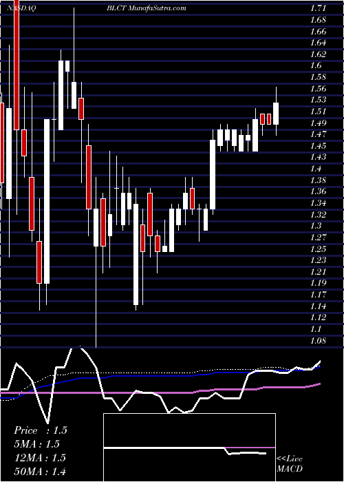  weekly chart BluecityHoldings