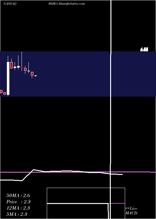  monthly chart BiomericaInc
