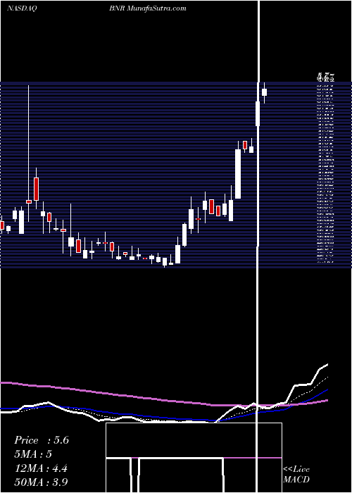  Daily chart Burning Rock Biotech Limited ADR