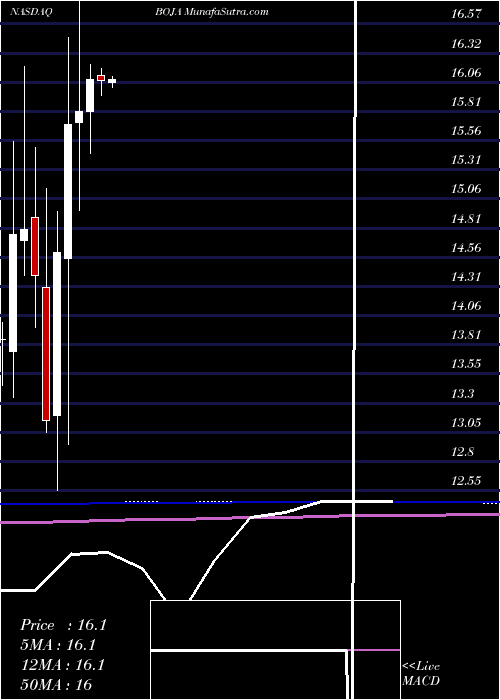  monthly chart BojanglesInc