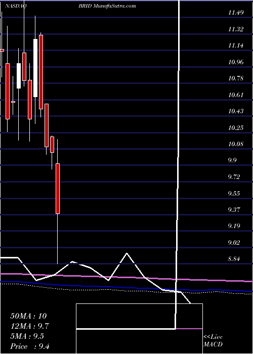  monthly chart BridgfordFoods