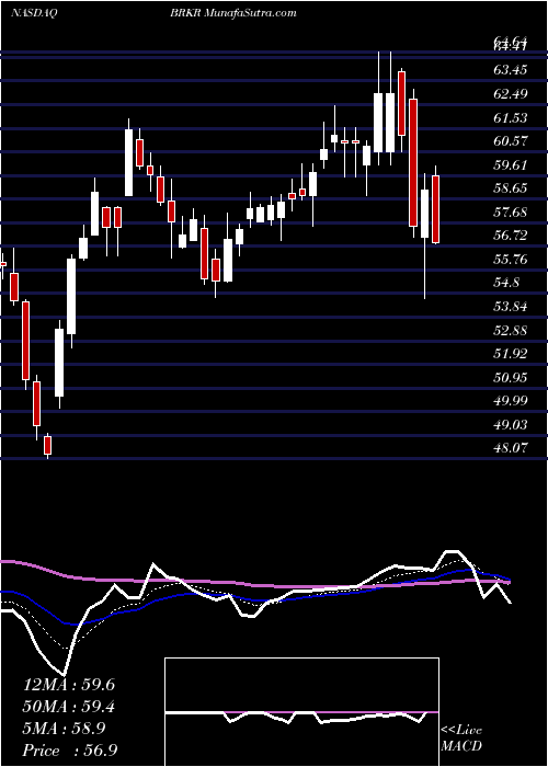  Daily chart BrukerCorporation