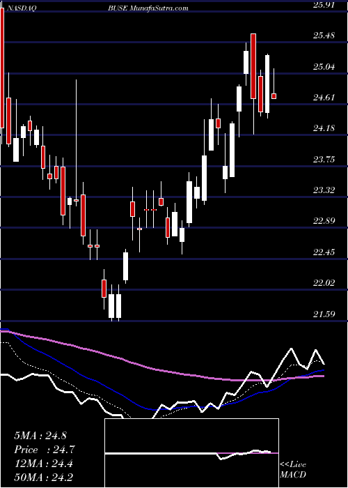  Daily chart FirstBusey