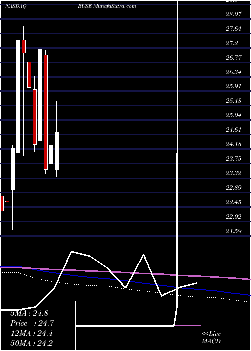  monthly chart FirstBusey