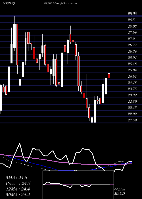  weekly chart FirstBusey