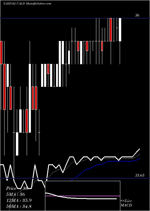  Daily chart CallidusSoftware