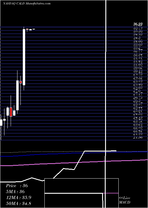  monthly chart CallidusSoftware