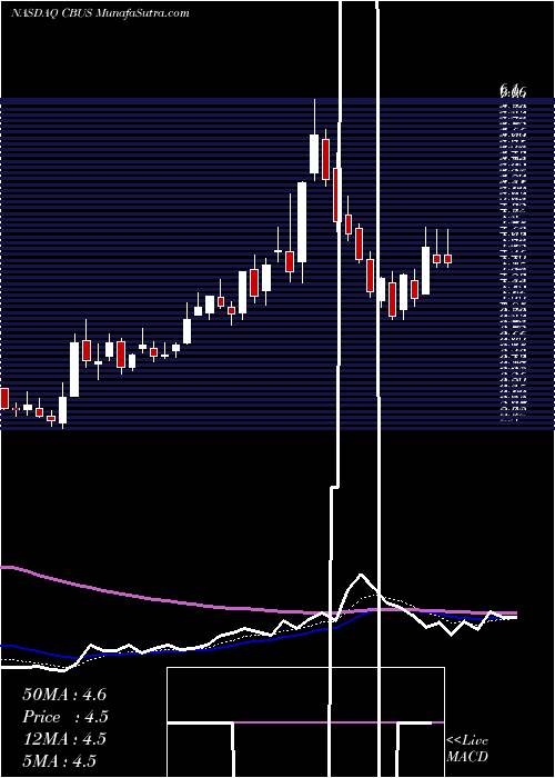  Daily chart CibusCorp