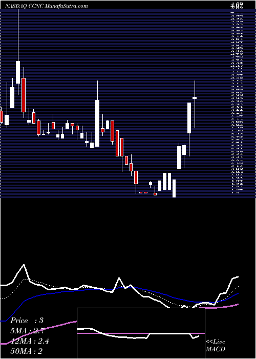  Daily chart Code Chain New Continent Ltd