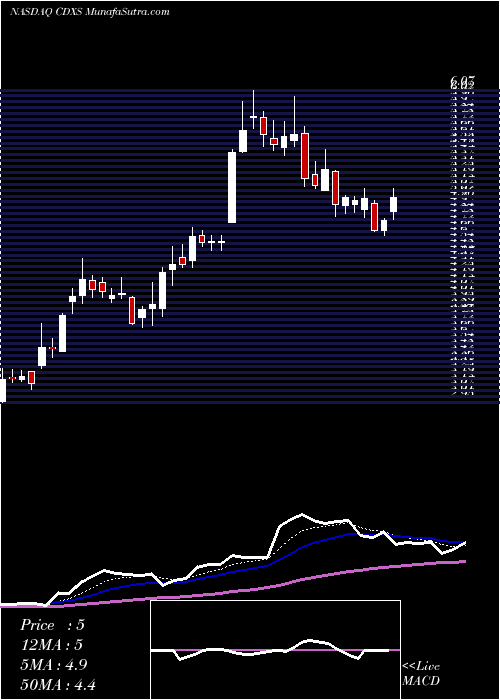  Daily chart CodexisInc