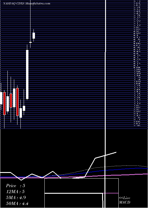  monthly chart CodexisInc