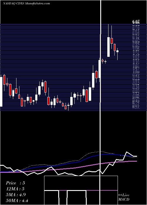  weekly chart CodexisInc