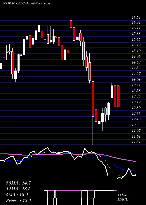  Daily chart Celcuity Inc.