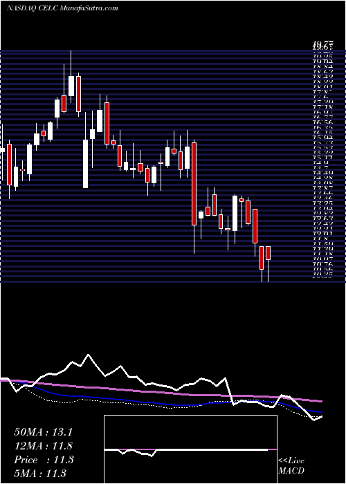  weekly chart CelcuityInc