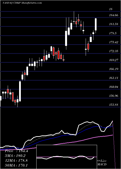  Daily chart CheckPoint