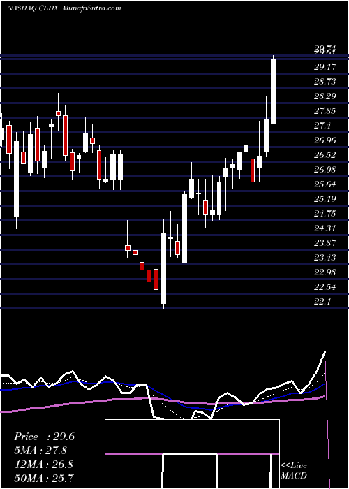  Daily chart Celldex Therapeutics, Inc.