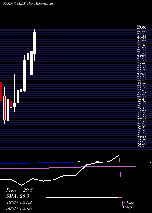  monthly chart CelldexTherapeutics