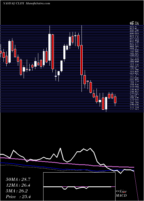  weekly chart CelldexTherapeutics