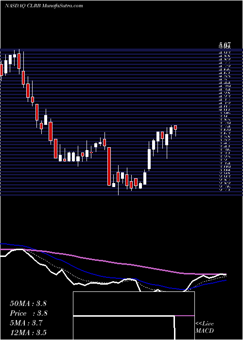  Daily chart CellectarBiosciences