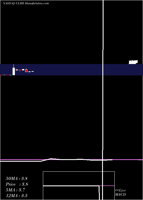  monthly chart CellectarBiosciences
