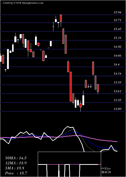  Daily chart LoncarCancer