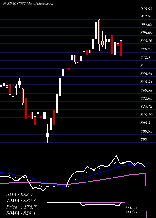  Daily chart CostcoWholesale