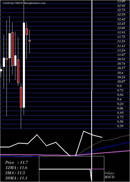  monthly chart CresudS