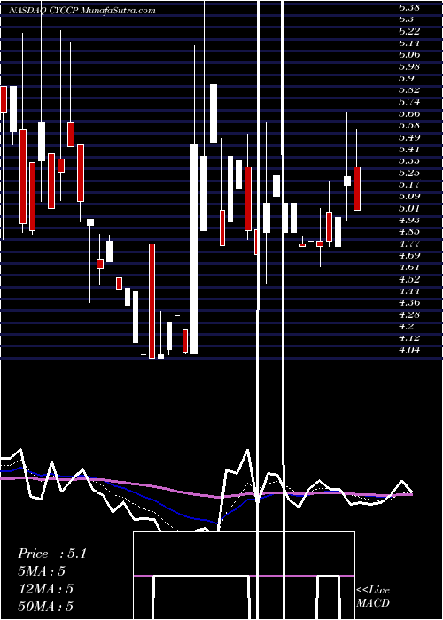  Daily chart CyclacelPharmaceuticals