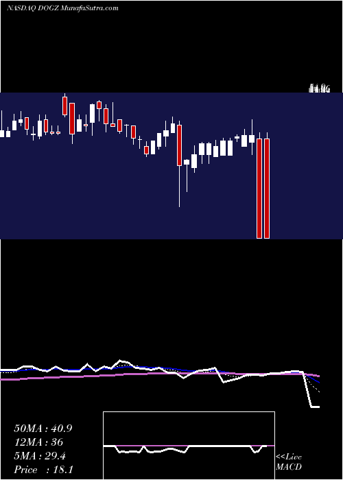  Daily chart DognessInternational