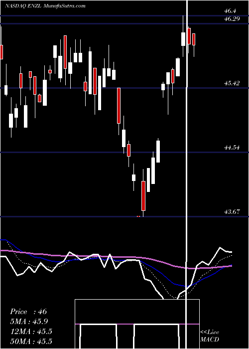  Daily chart IShares MSCI New Zealand ETF