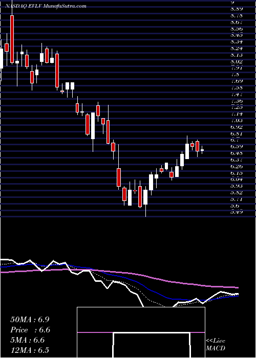  Daily chart EvineLive