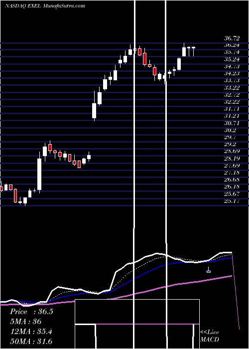  Daily chart Exelixis, Inc.