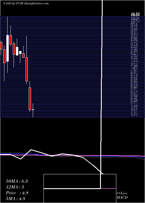  monthly chart FirstGuaranty