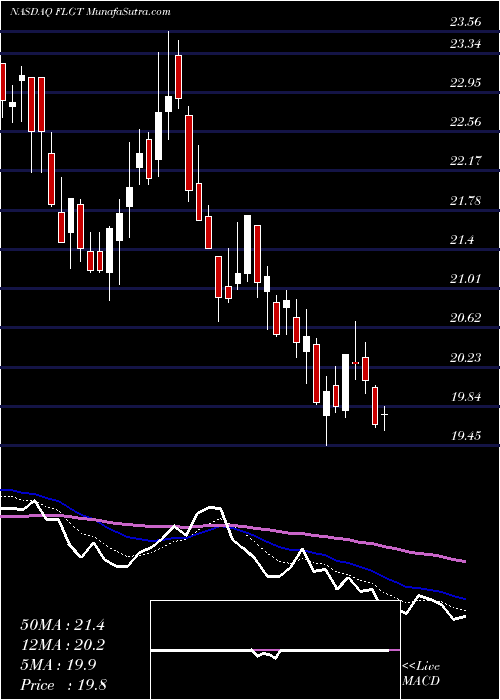  Daily chart FulgentGenetics