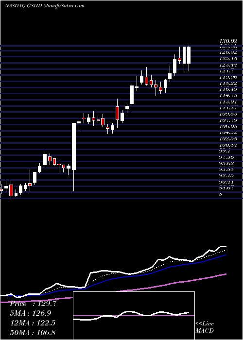  Daily chart GooseheadInsurance