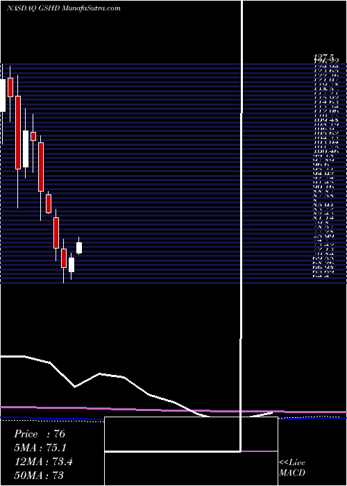  monthly chart GooseheadInsurance