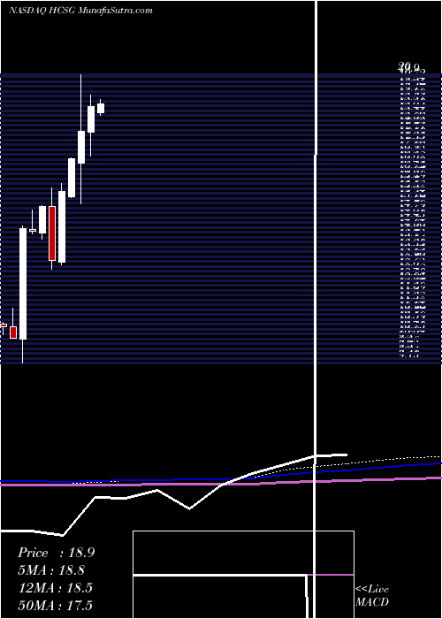  monthly chart HealthcareServices