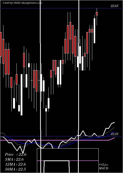  Daily chart WisdomtreeInterest