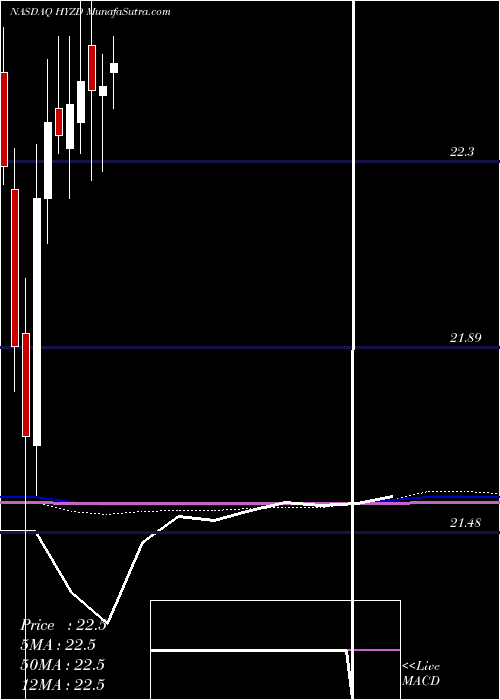  monthly chart WisdomtreeInterest
