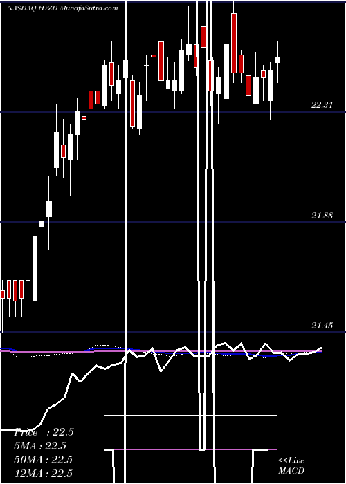  weekly chart WisdomtreeInterest