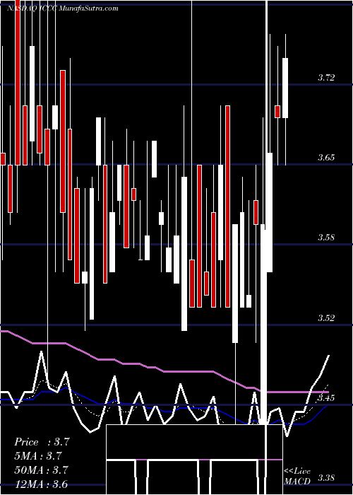  Daily chart ImmuCell Corporation