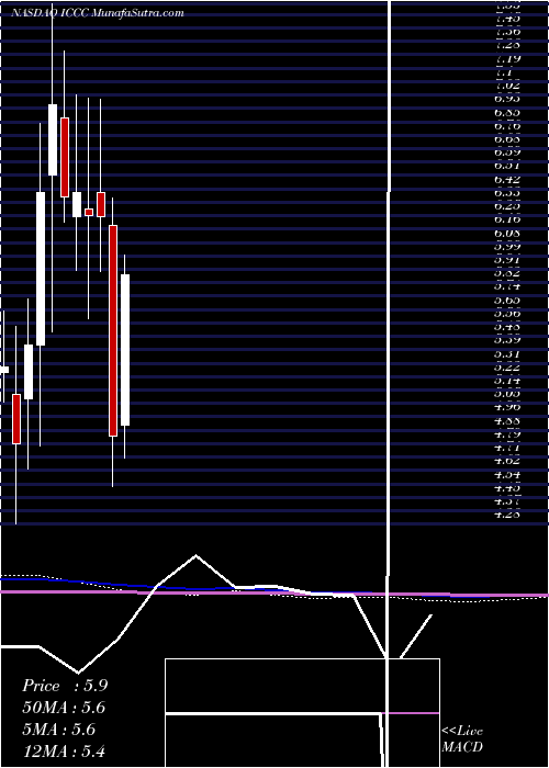  monthly chart ImmucellCorporation