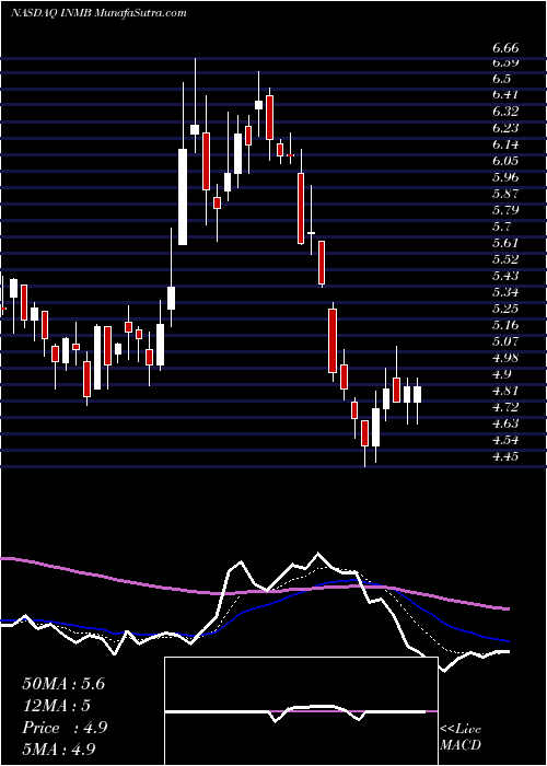  Daily chart InmuneBio