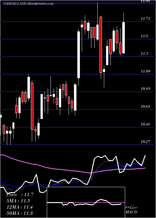  Daily chart GladstoneLand