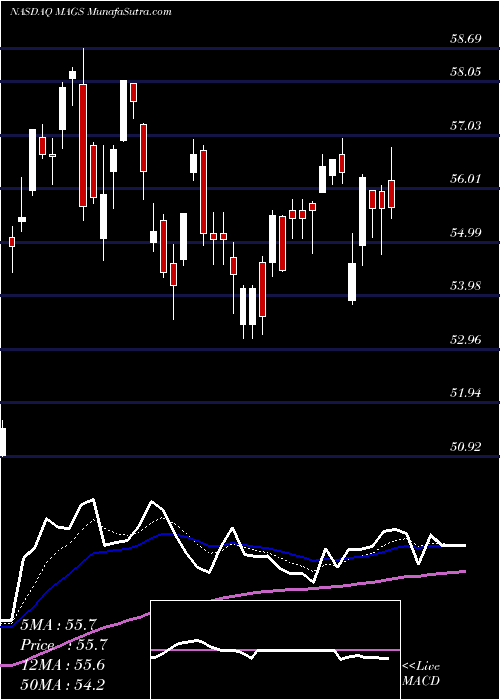  Daily chart MagalSecurity