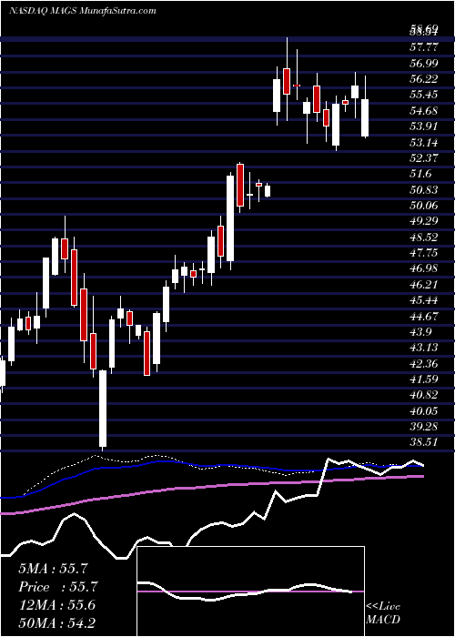  weekly chart MagalSecurity