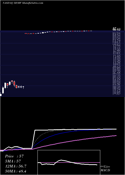 Daily chart MorphicHolding