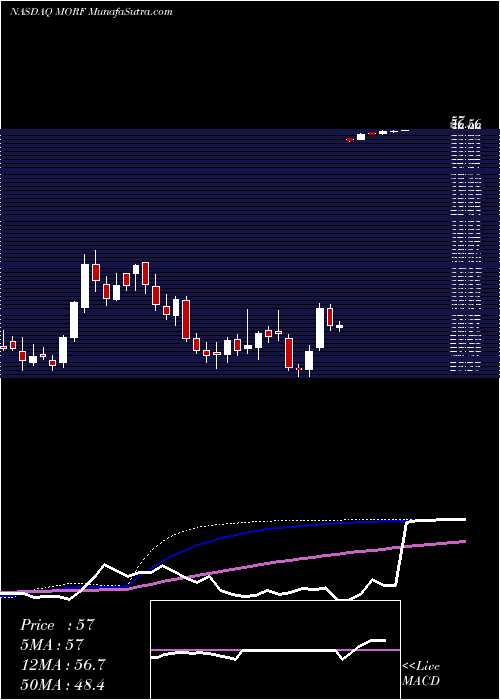  weekly chart MorphicHolding