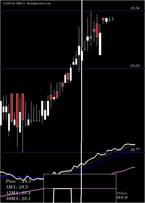  Daily chart MarlinBusiness